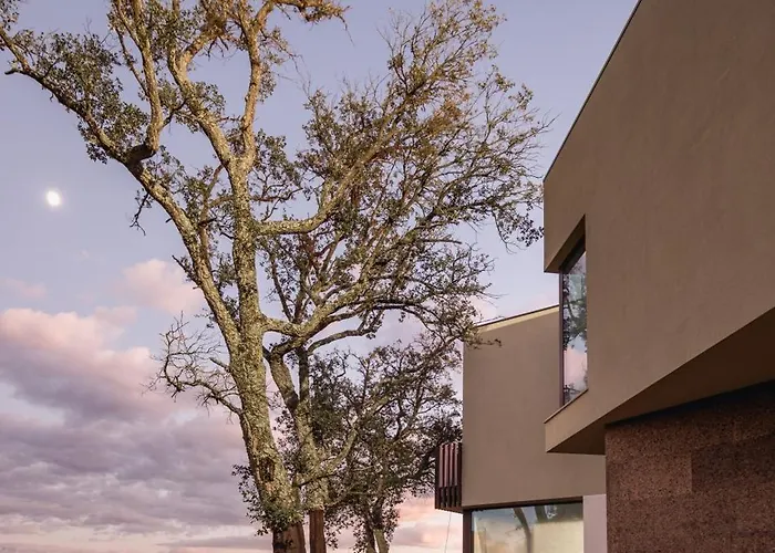 Hotel Haven Nature & 4*